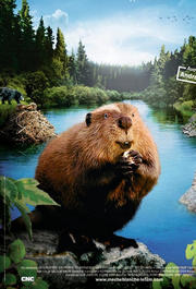 河狸筑堤(Dam Beavers)