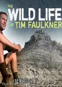 猛兽同行2(The Wild Life Of Tim Faulkner 2)