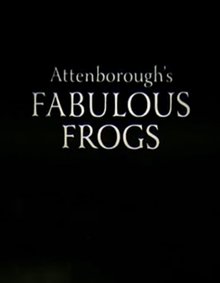阿Sir看蛙蛙(Attenboroughs Fabulous Frogs)