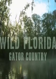 野性佛罗里达(Wild Florida)