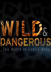 危险宠物(The World of Exotic Pets)