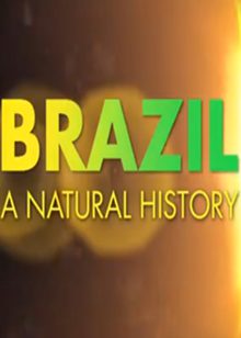 巴西︰动物天堂(Brazil A Natural History)