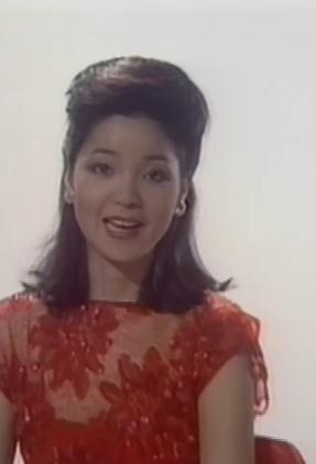 邓丽君演唱会1983十五周年巡回香港站(邓丽君1983十五周年巡回演唱会香港站)