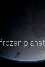 地球冰失-极地一年(Frozen Planet The Epic Journey)