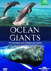 海洋王者(Ocean Giants)
