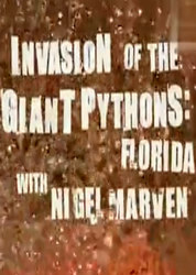 巨蠎之灾(Invasion of the Giant Pythons-Florida)