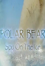 谍影熊心(Polar Bear Spy on the Ice)