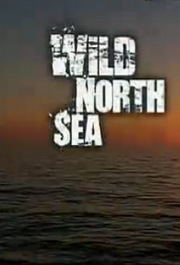 北海在野(Wild North Sea)