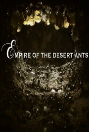 蚁皇朝(Empire of the Desert Ants)