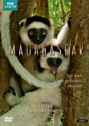 马达加斯加奇观(Madagascar)