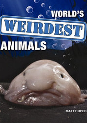 骑呢动物之最( Worlds Weirdest Animals)