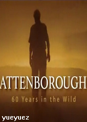 阿sir在野六十载(Attenborough 60 Years in the Wild)