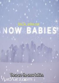雪地宝宝(Snow Babies)