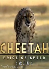 猛火豹(Cheetah the Price of Speed)