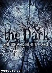 夜幕下的大自然(The Dark Natures Nighttime World)