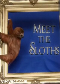 树懒叹世界(Meet the Sloths)