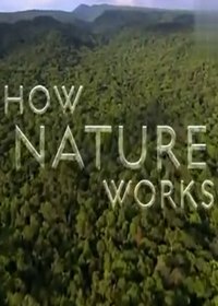 大自然解码(How Nature Works)