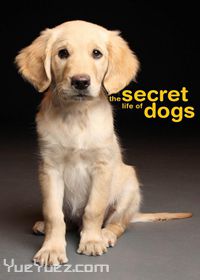 狗狗密语(Secret Life of Dogs)