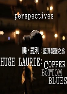 晓罗利：蓝调朝圣之旅(Hugh Laurie：Copper Bottom Blues)