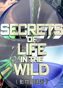 动物灵隐派(Secrets of Life in the Wild)
