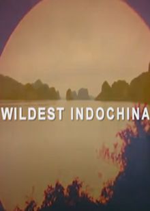 野性中印半岛(Wildest Indochina)