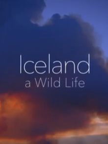 冰岛生命力(Iceland A Wild Life)