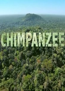 黑猩猩的世界(Chimpanzee)
