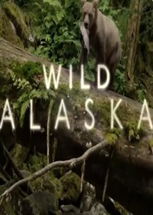野性阿拉斯加(Wild Alaska)