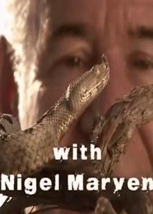 十大毒蛇(Ten Deadliest Snakes with Nigel Marven)