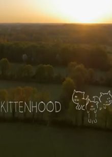 喵星人的生活(Kittenhood)