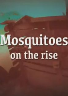 蚊患(Mosquitoes on the Rise)