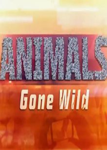 动物也疯狂(Animals Gone Wild)