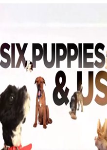 汪汪六小福(Six Puppies & Us)