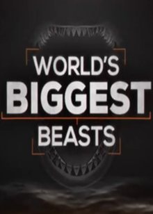 史前巨兽(World s Biggest Beasts)