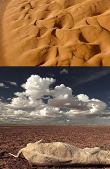 沙暴危机(Planet Sand)