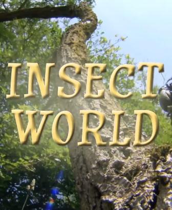 昆虫世界(InsectWorld)